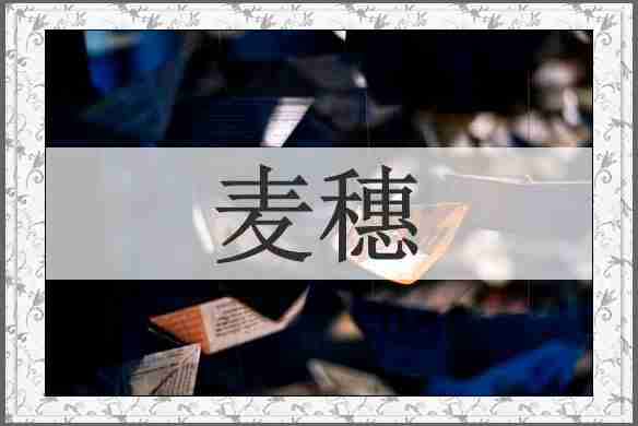 麦穗