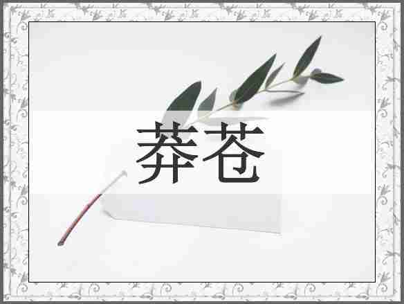 莽苍