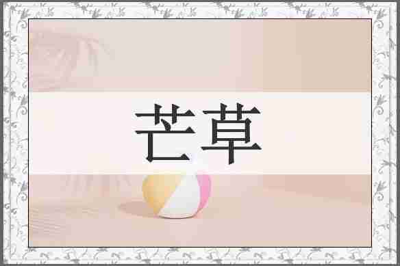 芒草