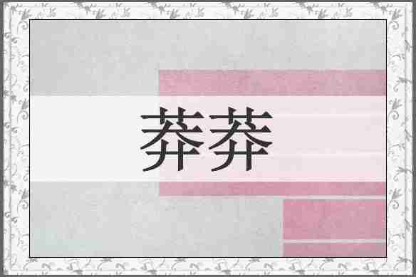 莽莽