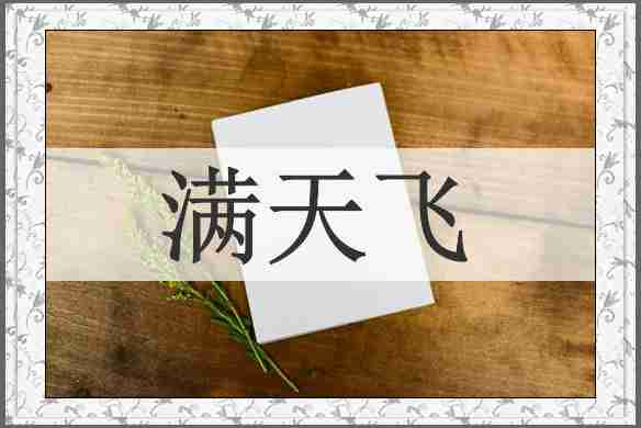 满天飞