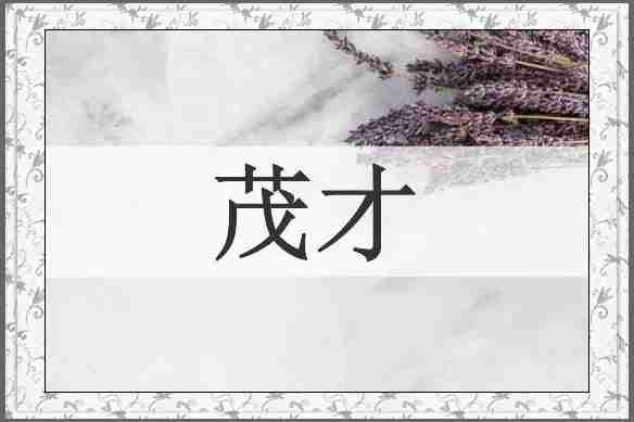茂才