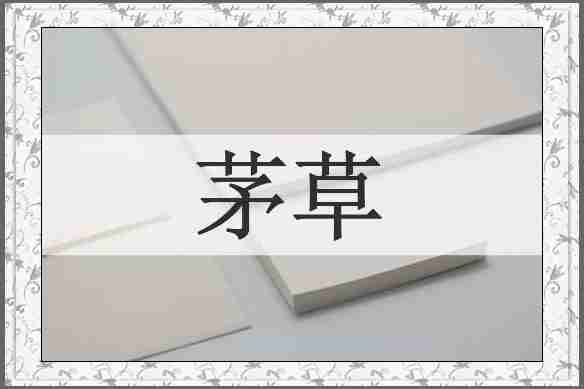 茅草