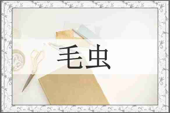 毛虫