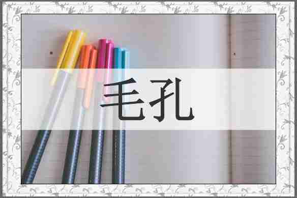毛孔
