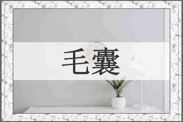 毛囊