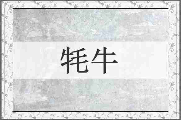 牦牛