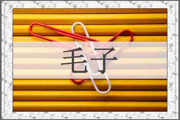 毛子