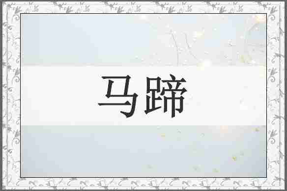 马蹄