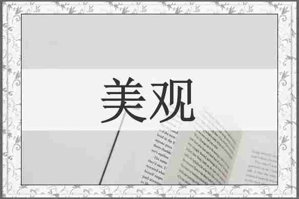 美观