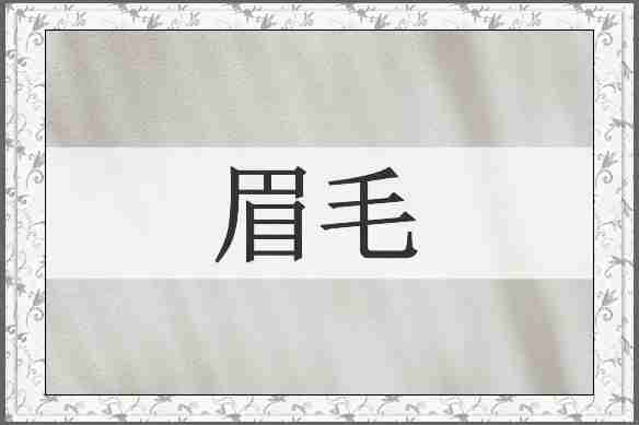眉毛