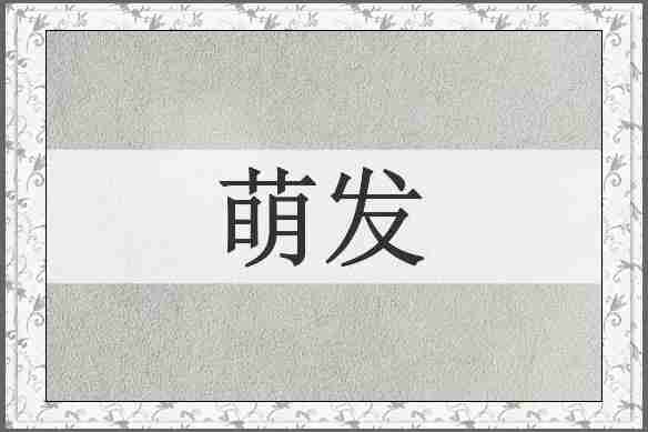 萌发