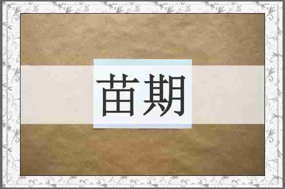 苗期