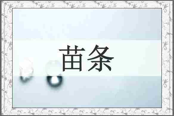 苗条