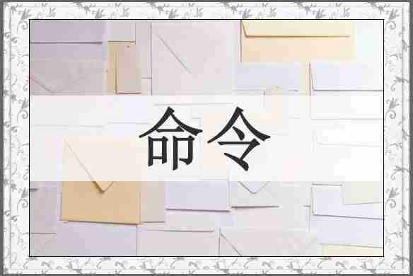 命令