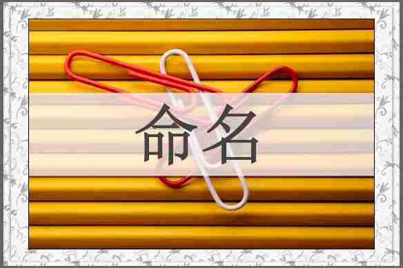 命名