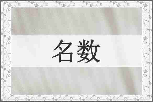 名数