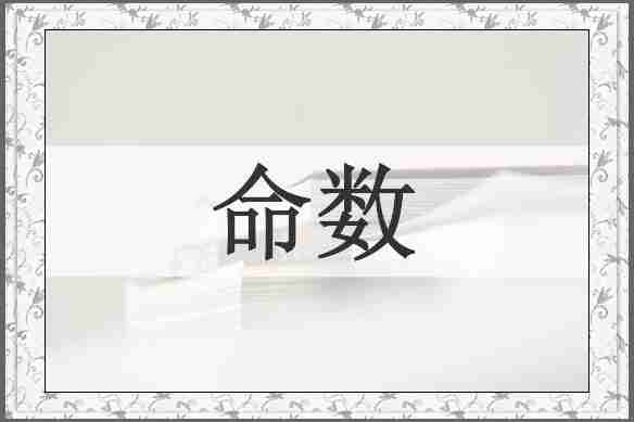 命数