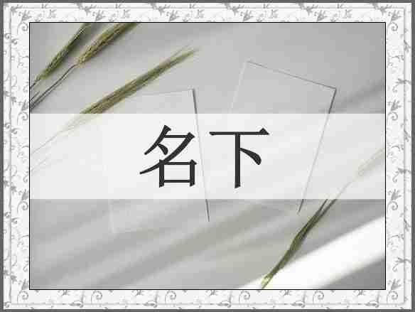 名下