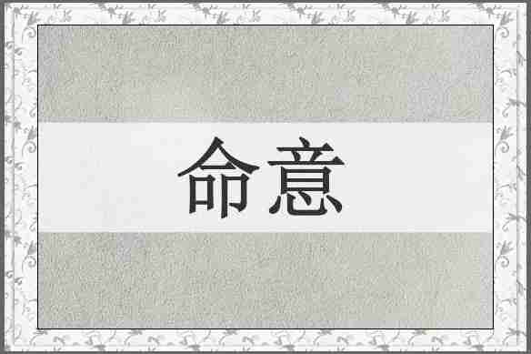 命意