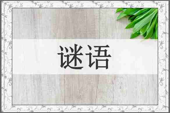 谜语