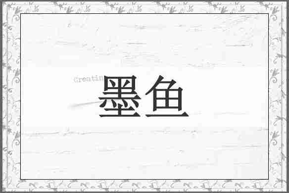 墨鱼