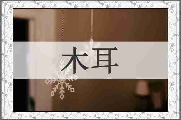木耳