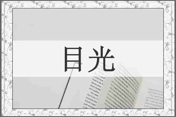 目光