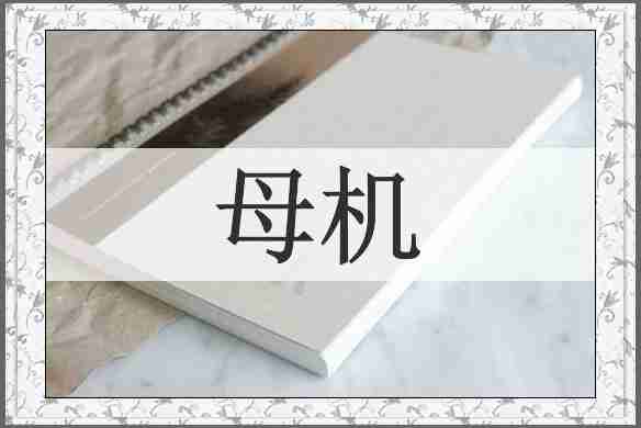 母机