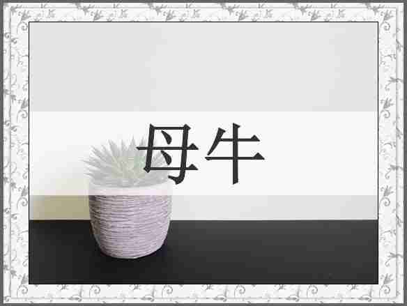 母牛