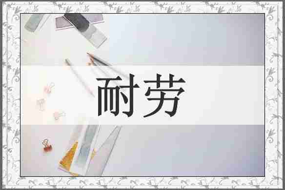 耐劳
