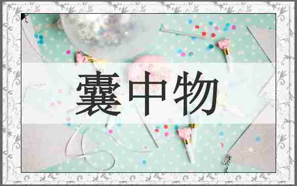 囊中物