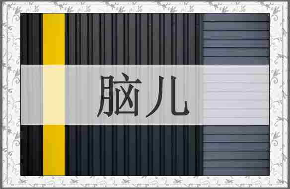 脑儿