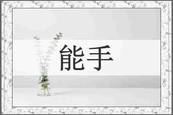 能手