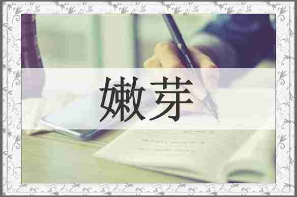 嫩芽