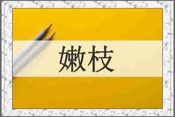 嫩枝