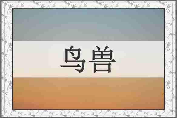 鸟兽