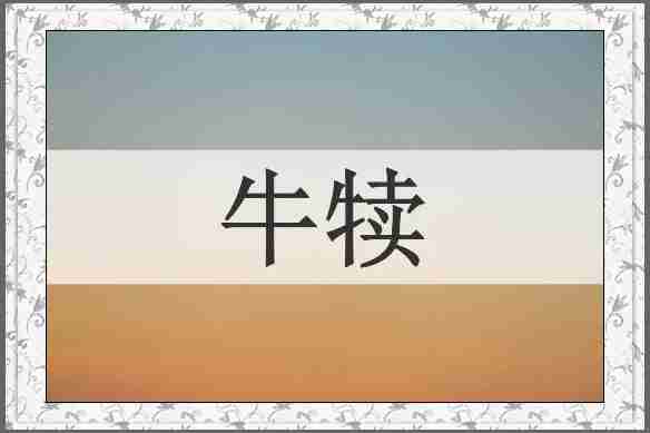 牛犊