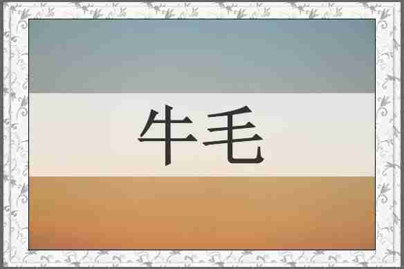 牛毛
