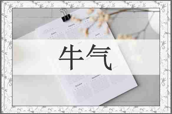 牛气
