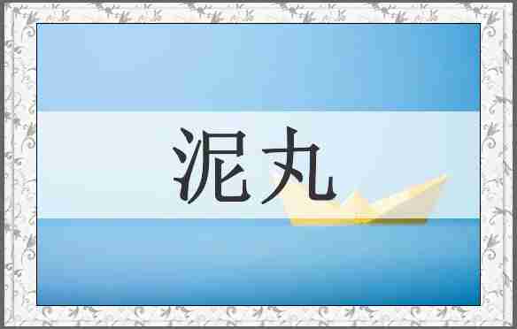 泥丸