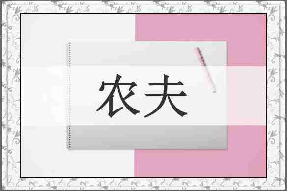 农夫