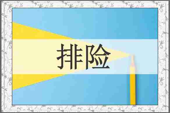 排险