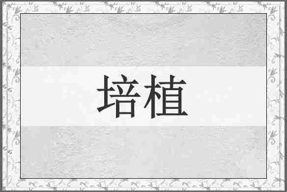 培植