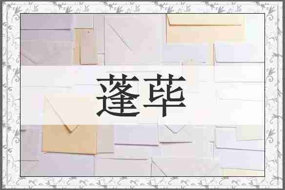 蓬荜