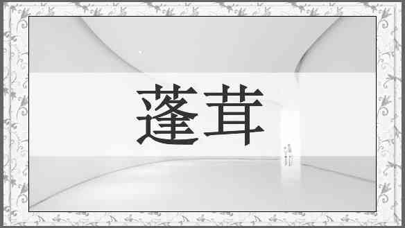 蓬茸