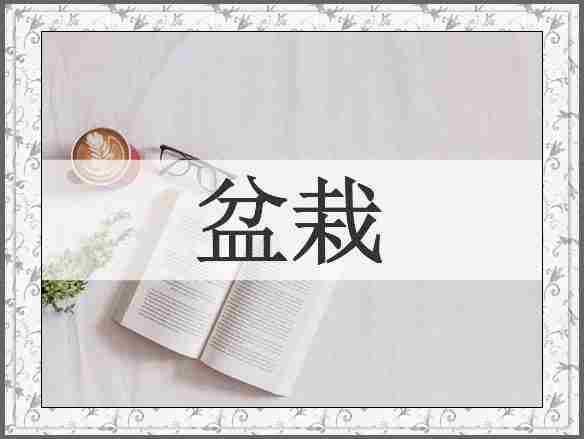 盆栽