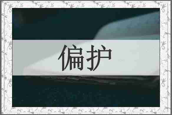 偏护