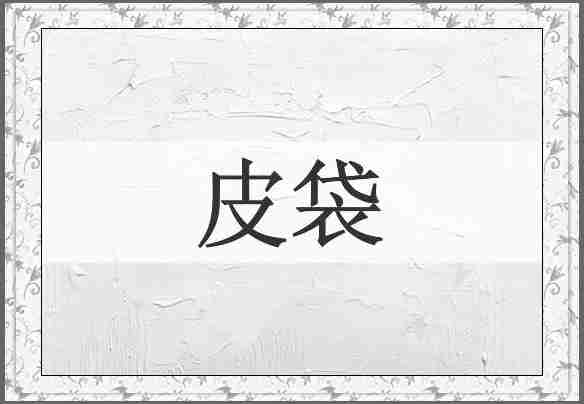 皮袋