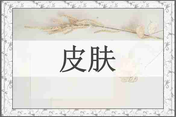 皮肤